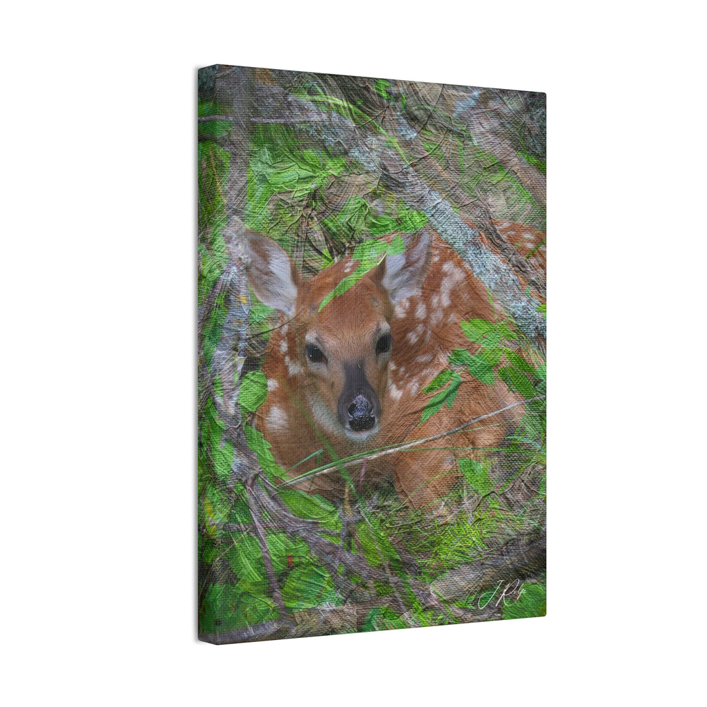 10"x14" Vertical Whitetail Fawn Artography Canvas | Deer Wildlife Wall Art | Painterly Nature Photography | Fine Art by Veteran Artist