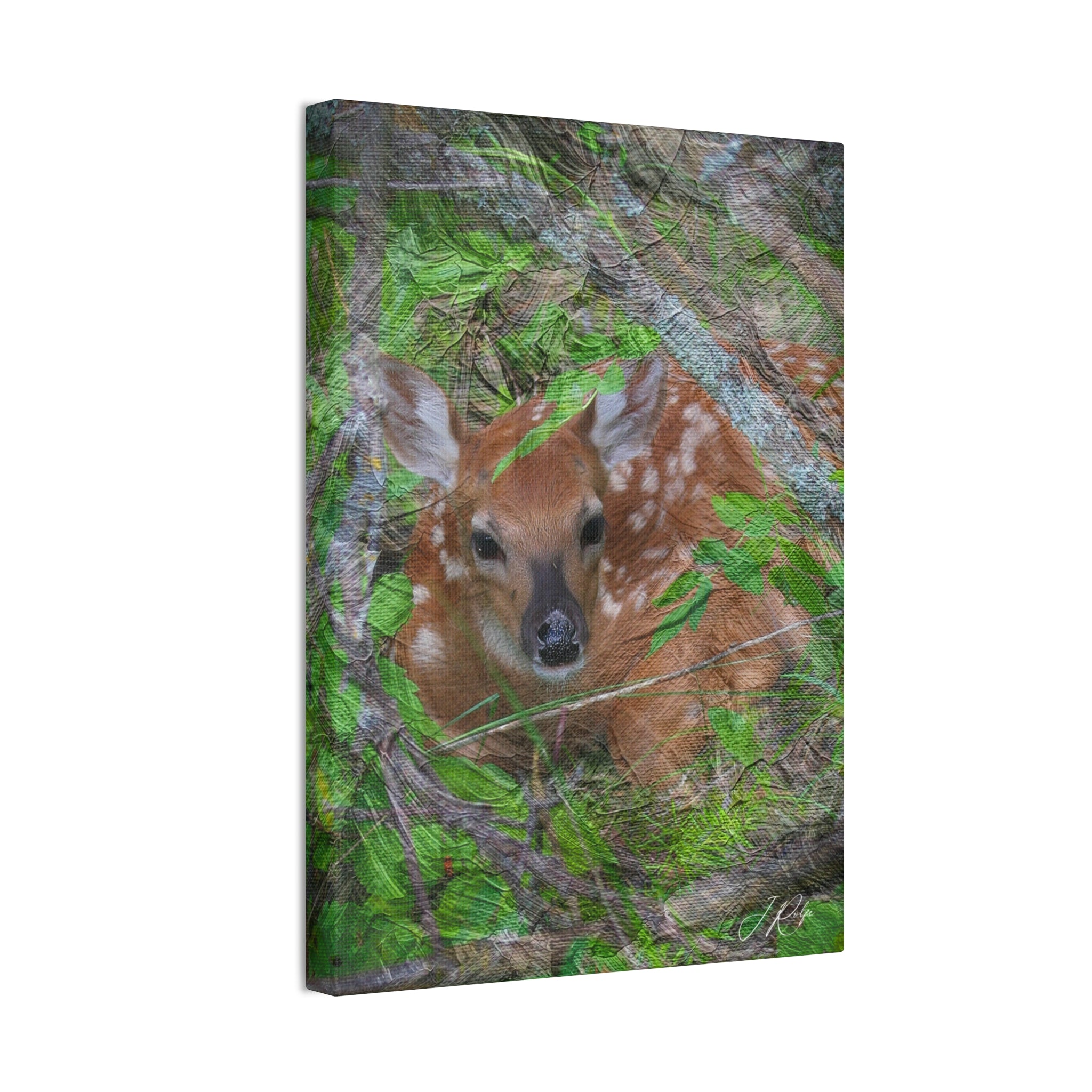 10"x14" Vertical Whitetail Fawn Artography Canvas | Deer Wildlife Wall Art | Painterly Nature Photography | Fine Art by Veteran Artist
