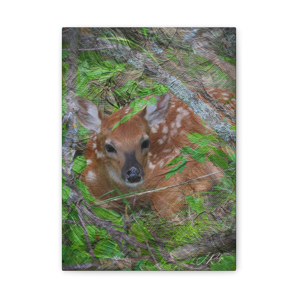 10"x14" Vertical Whitetail Fawn Artography Canvas | Deer Wildlife Wall Art | Painterly Nature Photography | Fine Art by Veteran Artist