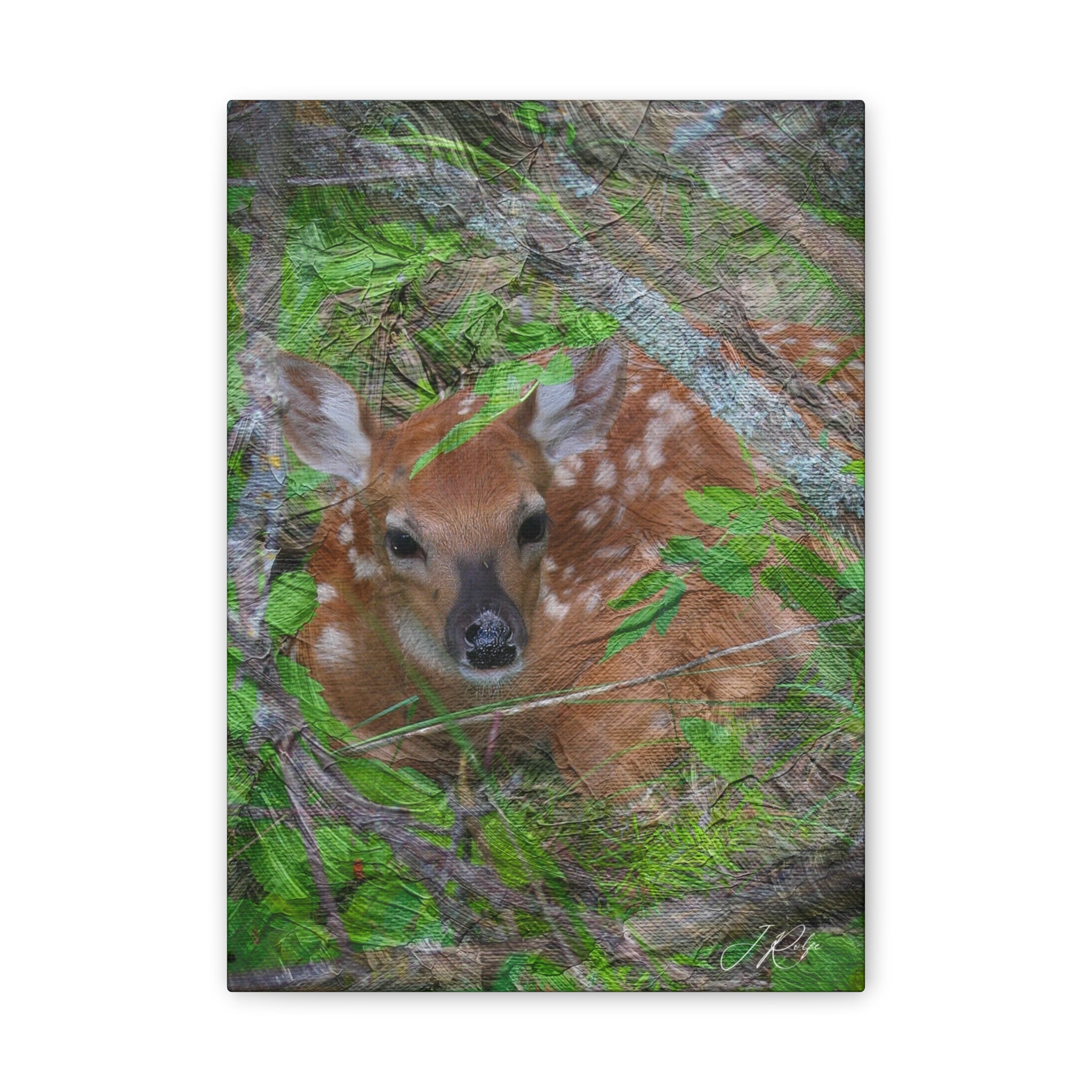 10"x14" Vertical Whitetail Fawn Artography Canvas | Deer Wildlife Wall Art | Painterly Nature Photography | Fine Art by Veteran Artist