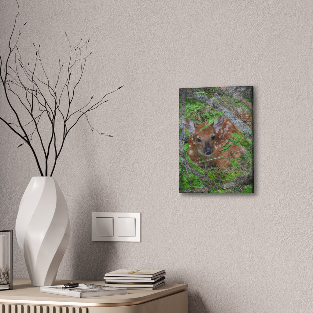 10"x14" Vertical Whitetail Fawn Artography Canvas | Deer Wildlife Wall Art | Painterly Nature Photography | Fine Art by Veteran Artist
