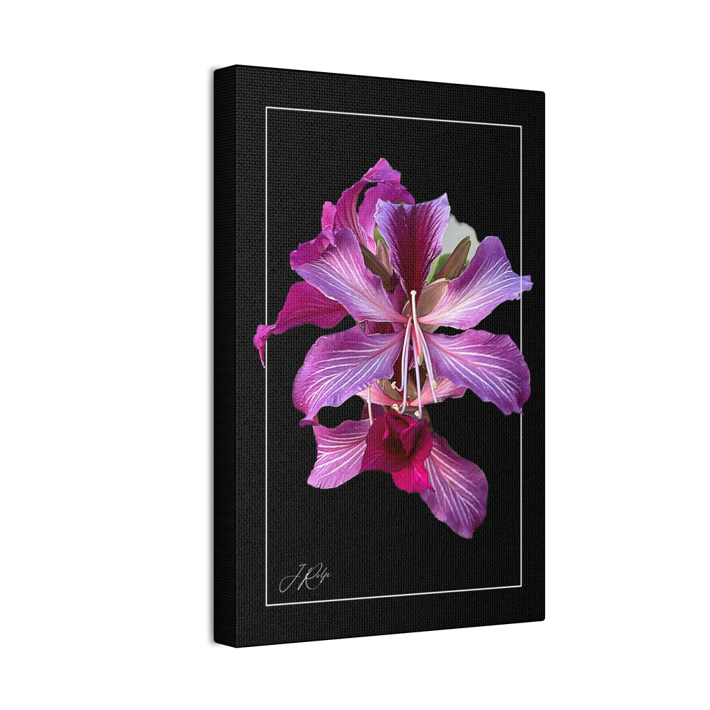 8"x12" Vertical Orchid in Stillness | Artography Canvas
