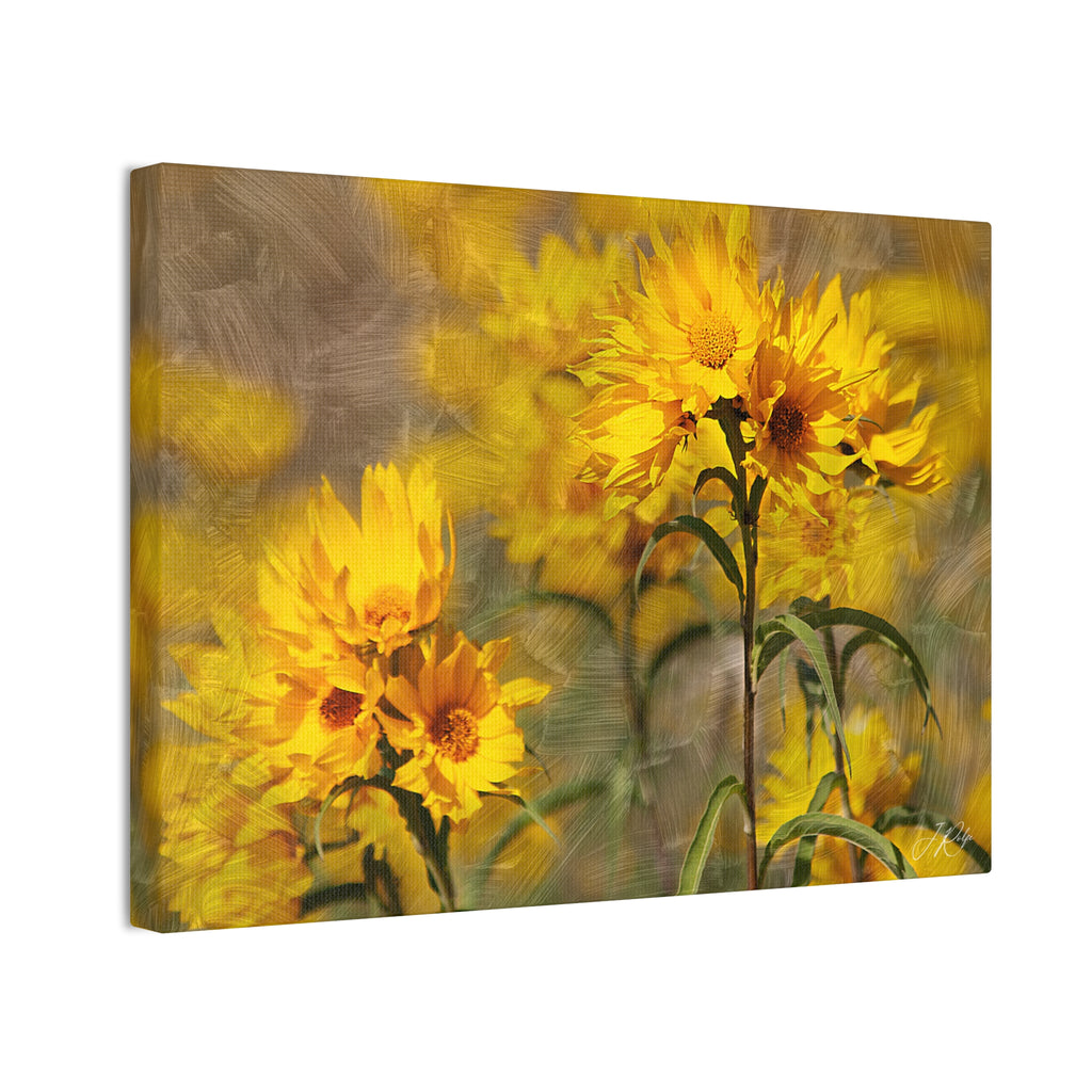 14"x10" Prairie Sunflower Artography Canvas Print | Golden Montana Wildflowers Wall Art | Textured Oil-Style Nature Photography