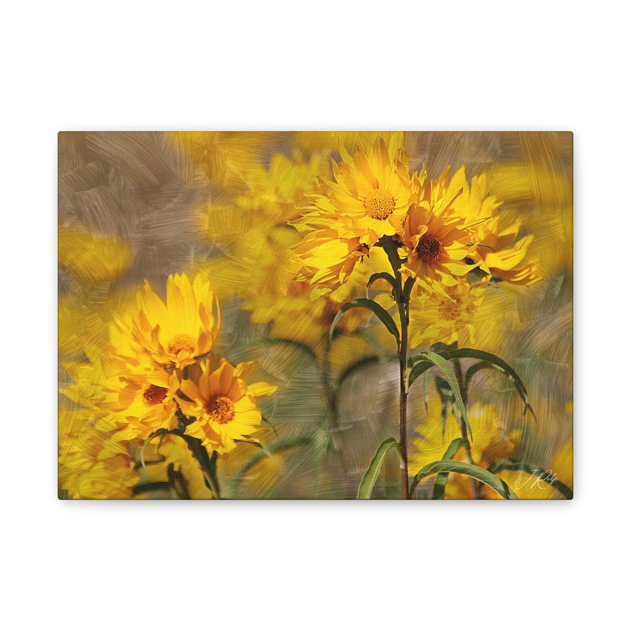 14"x10" Prairie Sunflower Artography Canvas Print | Golden Montana Wildflowers Wall Art | Textured Oil-Style Nature Photography