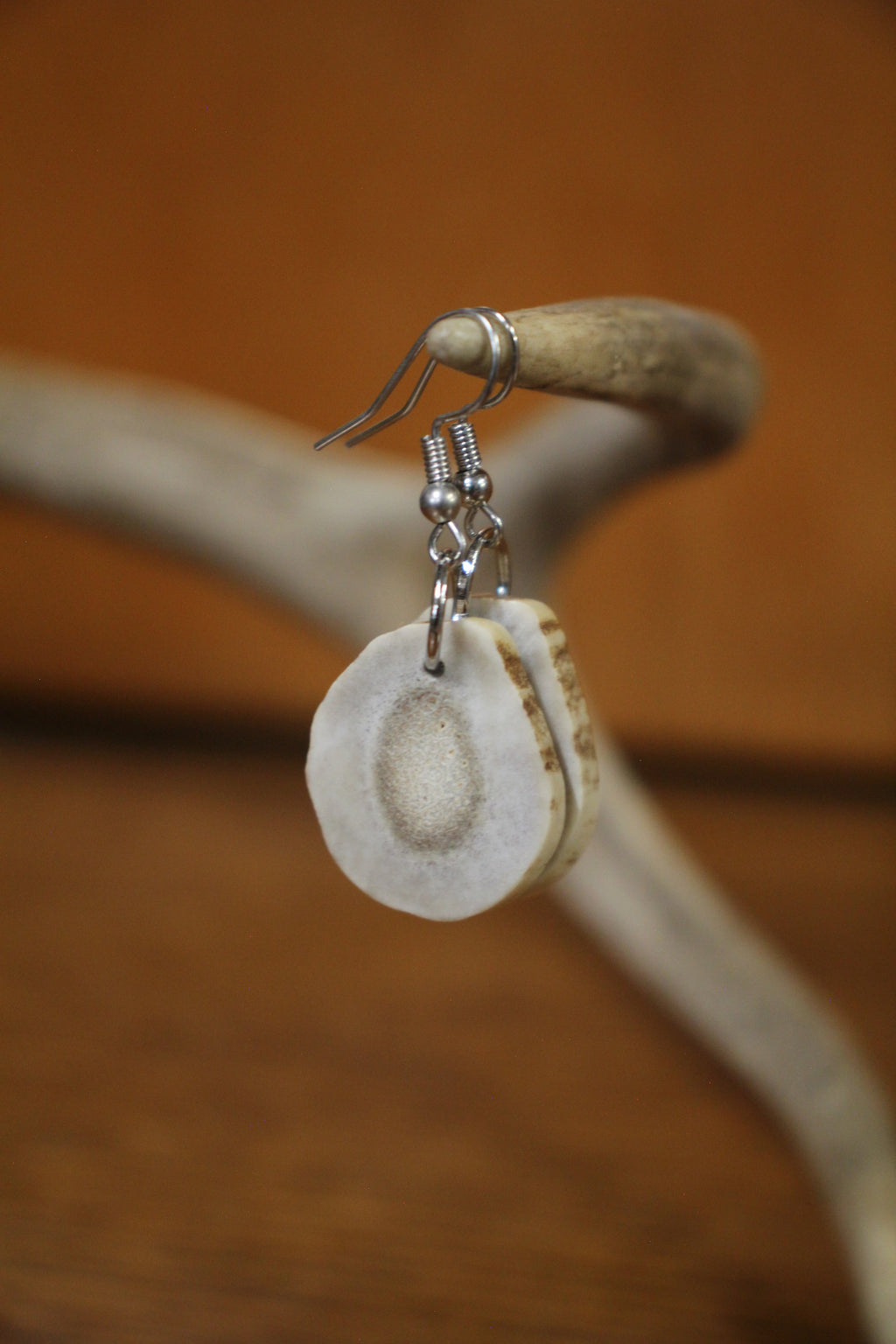 Handmade Whitetail Antler Slice Earrings | Polished Natural Shed Antler Jewelry